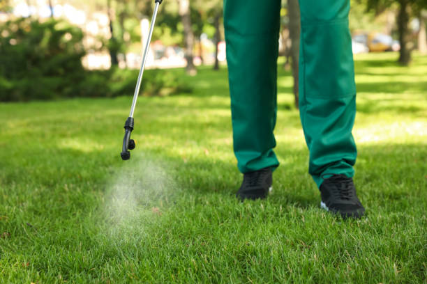 Best Pest Control Treatment  in Decatur, TX