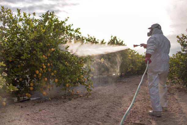 Best Best Pest Control Companies  in Decatur, TX