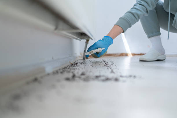 Best Affordable Pest Control Services  in Decatur, TX